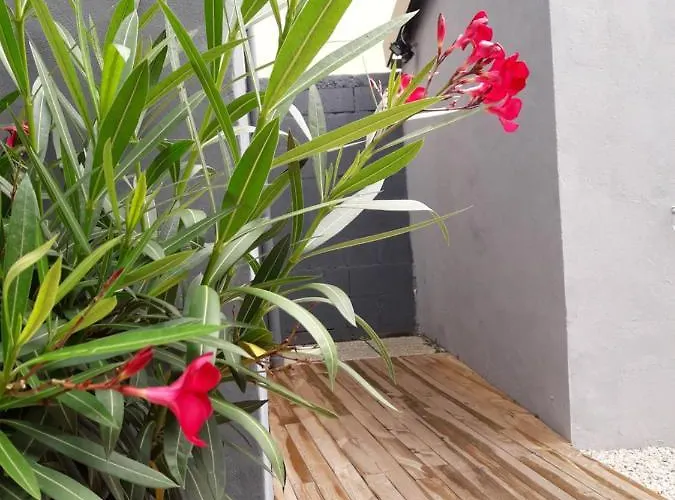 Apartamento Du 104 *