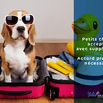 شقة Du 104
